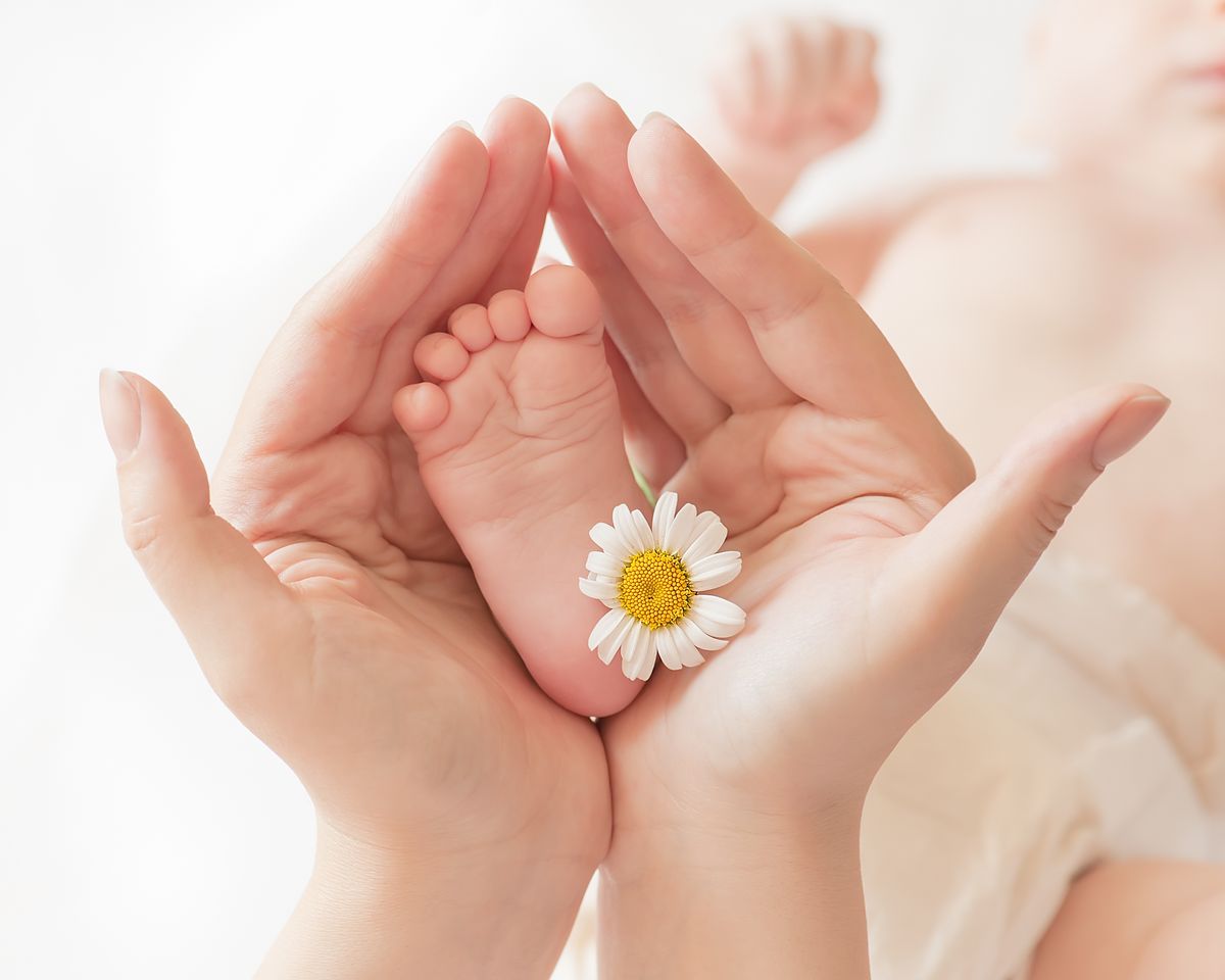 Babyfuß, liebevoll von zwei Elternhänden umschlossen, mit einer Gänseblümchenblüte