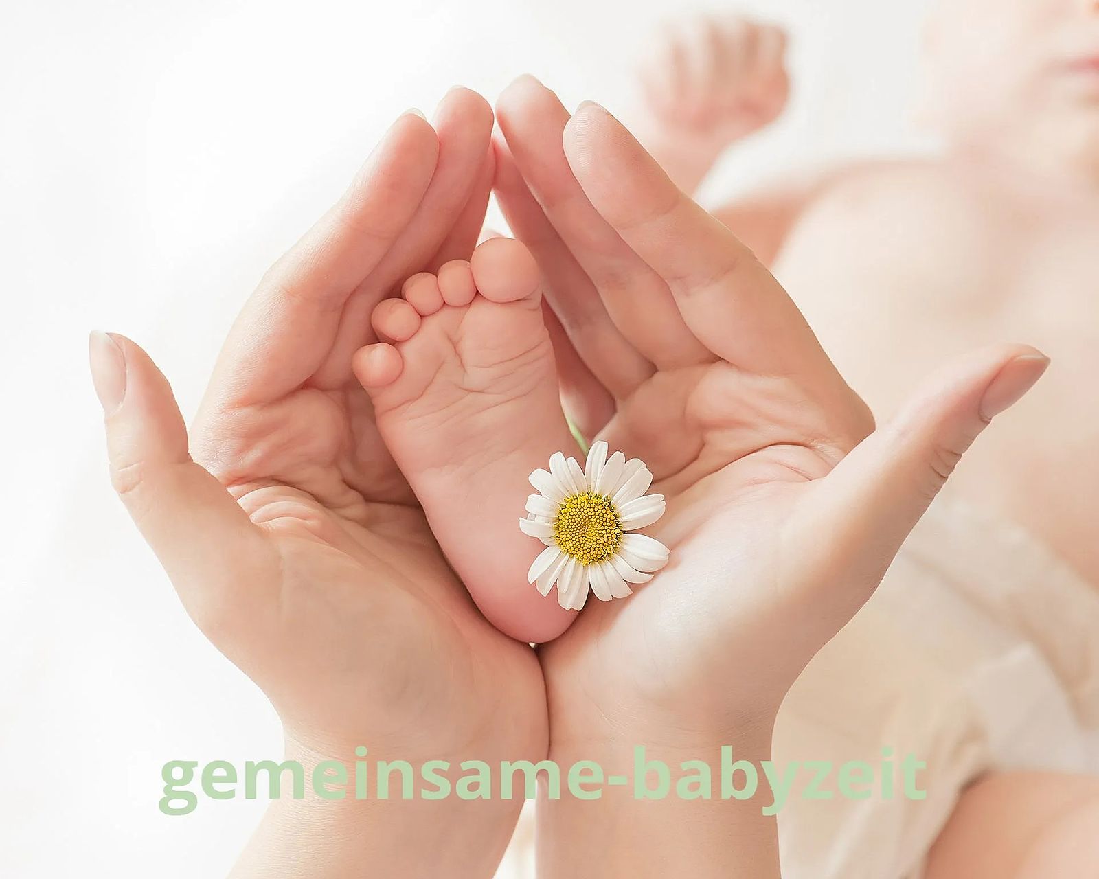 gemeinsame-babyzeit – Hände halten liebevoll einen Babyfuß mit einer Gänseblümchenblüte
